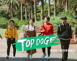 蜜糖直播《TOP DOG》免费在线观看