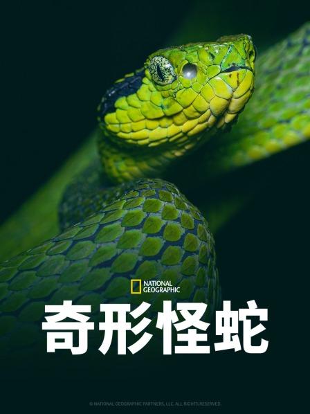 蜜芽传媒《奇形怪蛇》免费在线观看